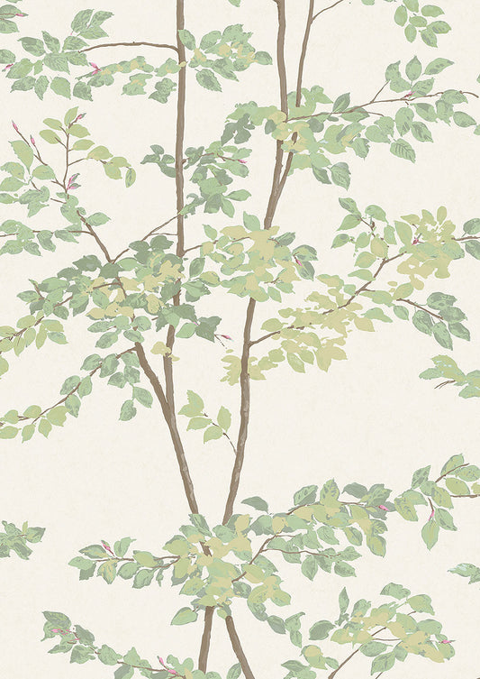 Beech Wallpaper - Document Green - Lewis & Wood