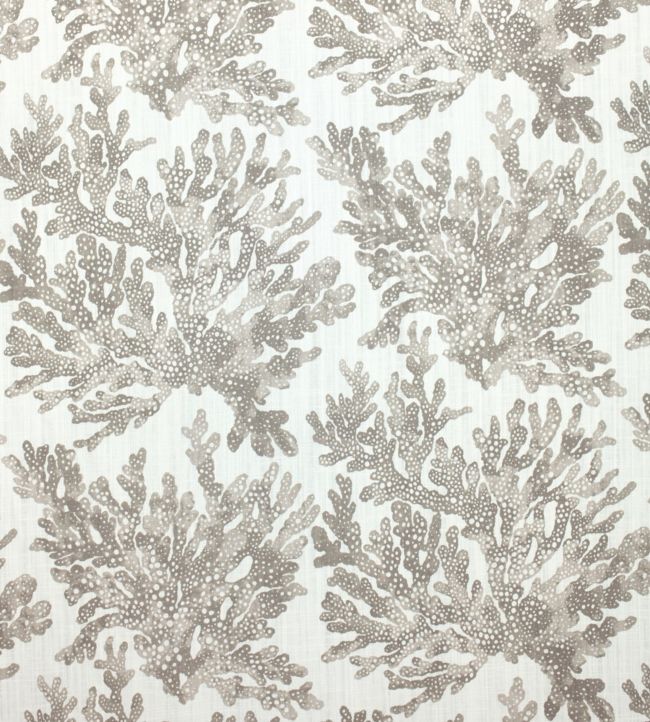 Marine Coral Fabric - Gray