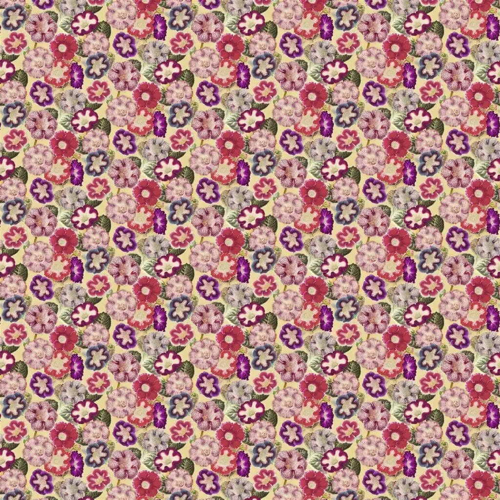 Varietes De Gloxinia Violet Fabric - Pink