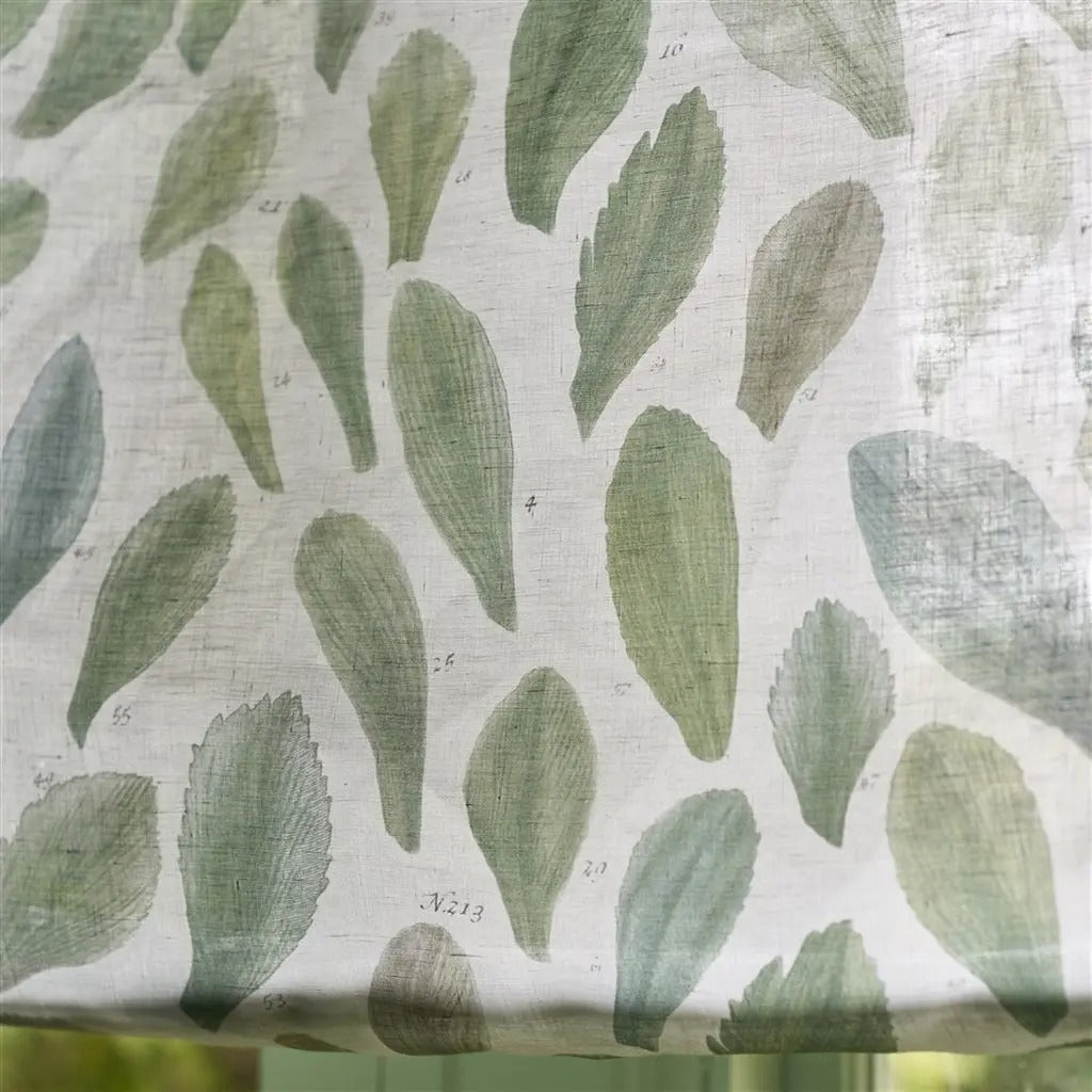 Leaf Specimens Thyme Room Fabric 2 - Green