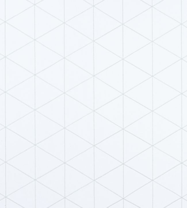 Concord Embroidery Fabric - Silver