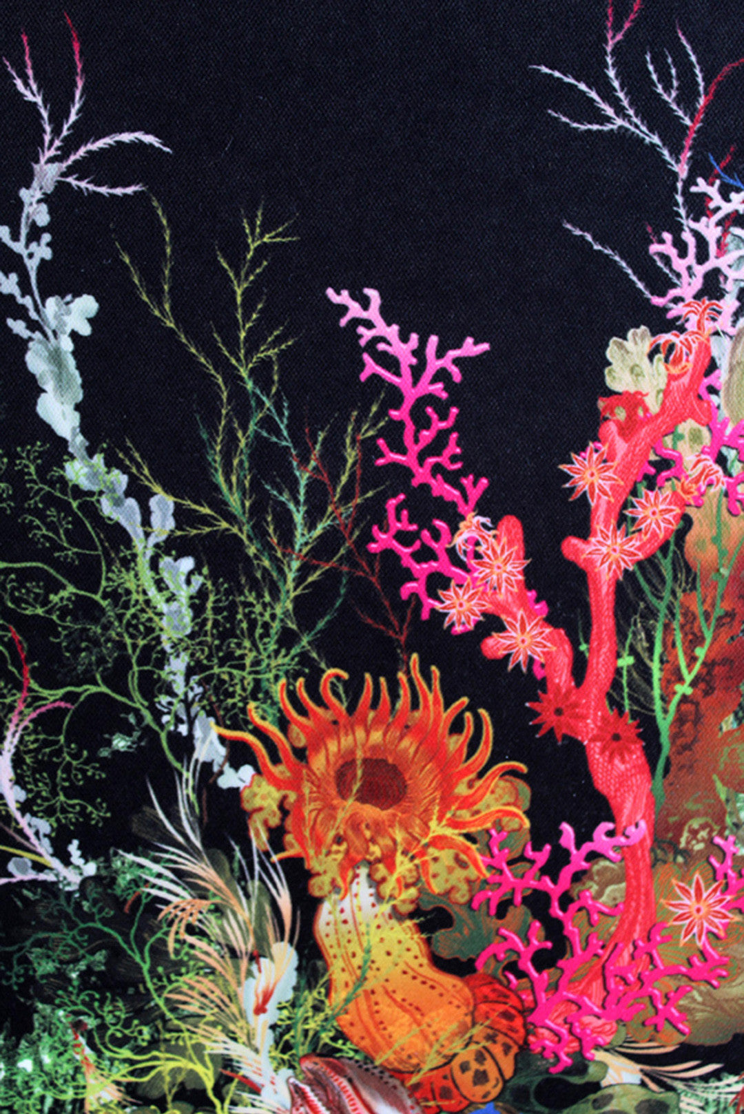 Seaweed And Shell Room Wallpaper 2 - Green