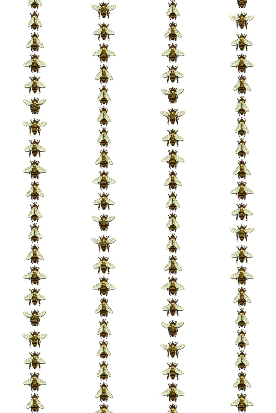 Wild Honey Bee Stripe Wallpaper - White