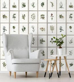 Botany Room Wallpaper - Green