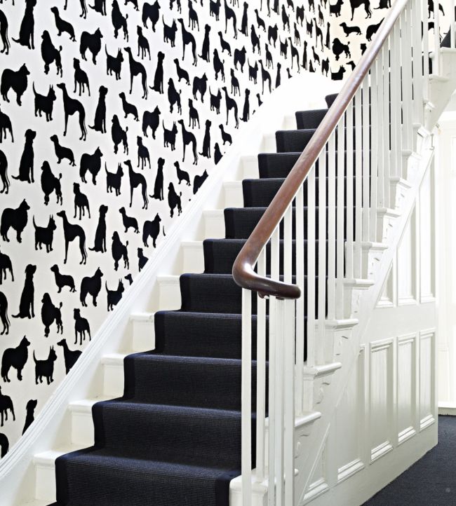 Best In Show Room Wallpaper - Black