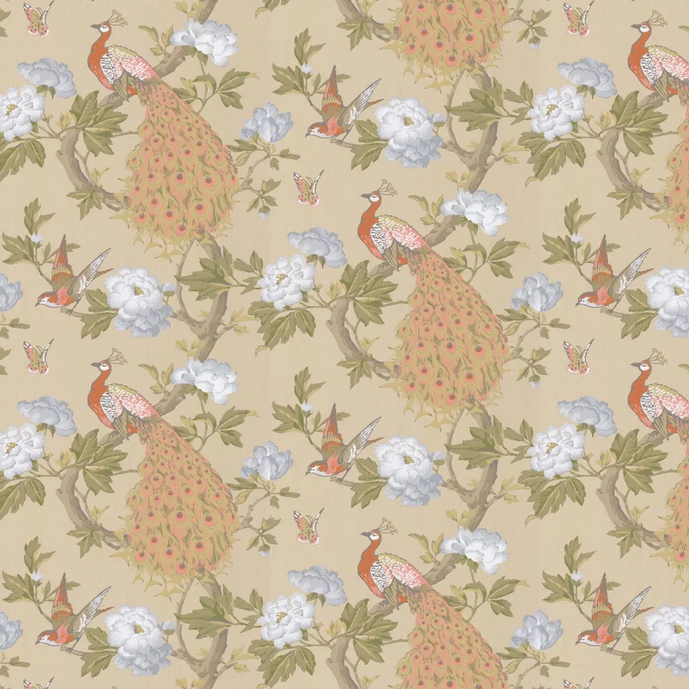 0245PAGINAZ - Pavona Wallpaper - Gina - Little Greene