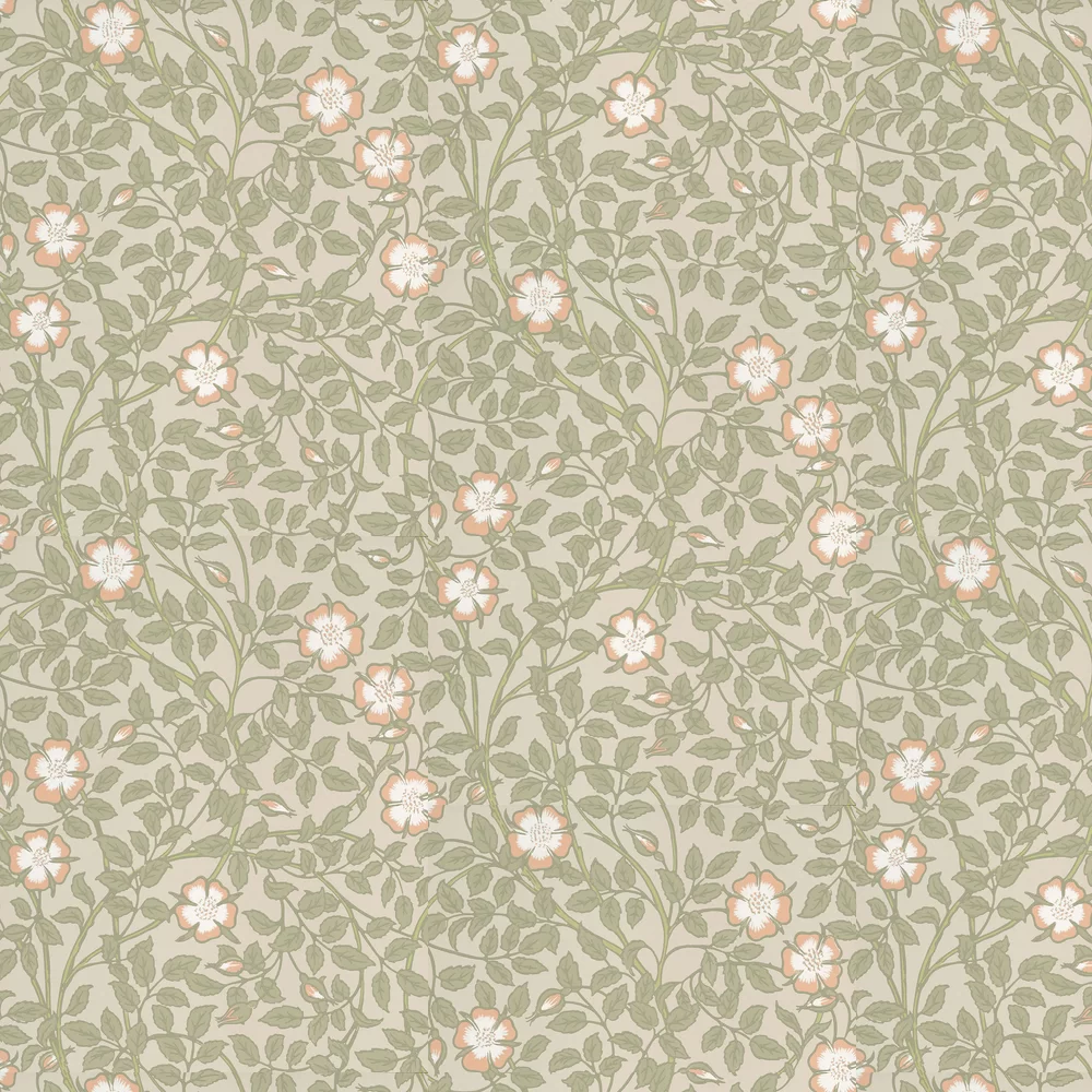 0263BRGMIST - Briar Rose Wallpaper - Green Mist - Little Greene