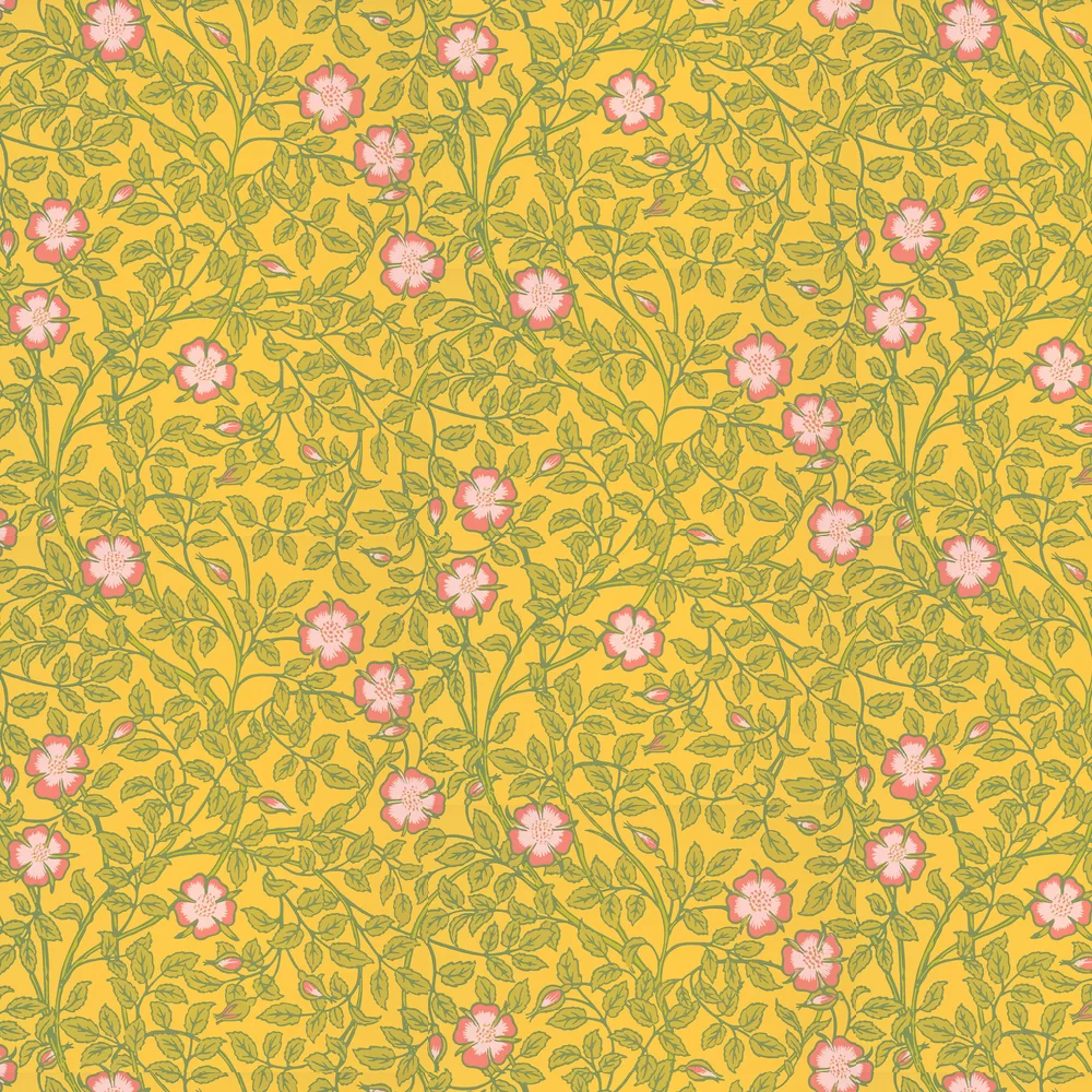 0263BRINDIA - Briar Rose Wallpaper - Indian Yellow - Little Greene