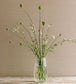 Sandrine Wallpaper - Aqua - 07179/08