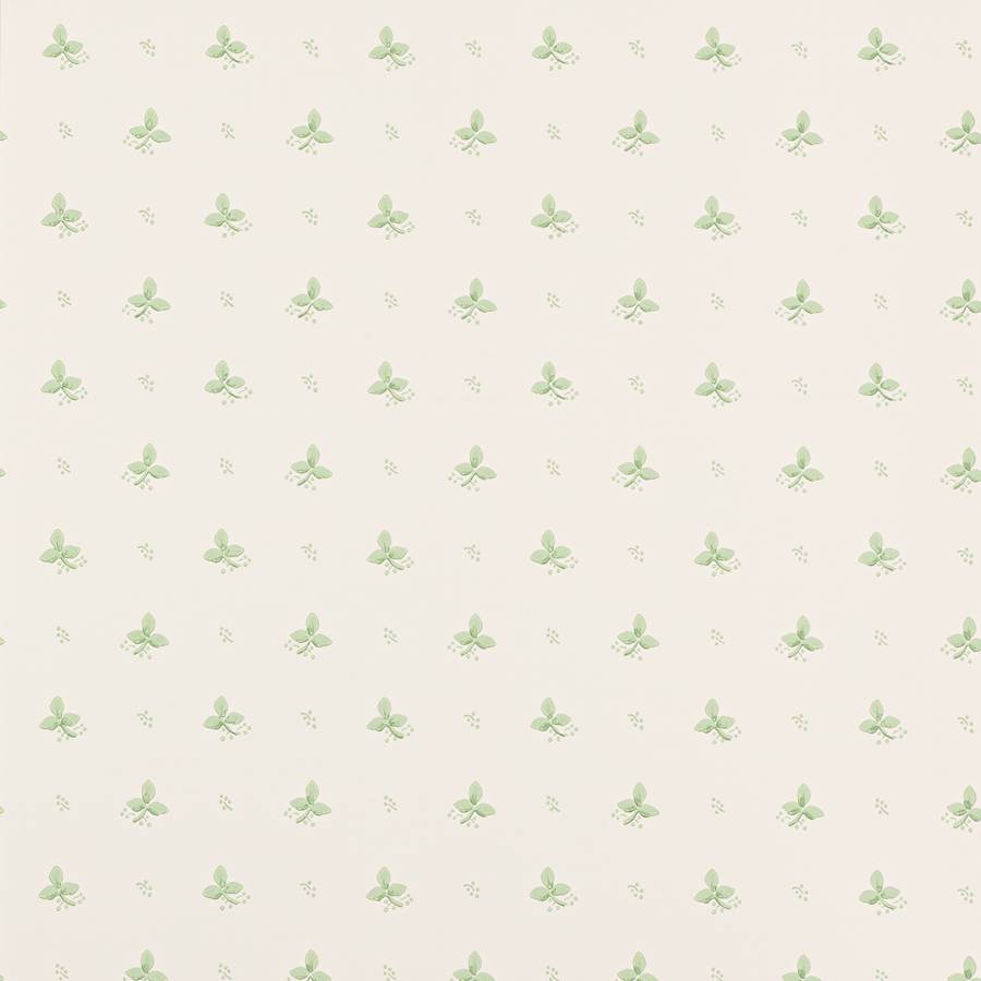 Ashling Wallpaper - Green - 07406/10