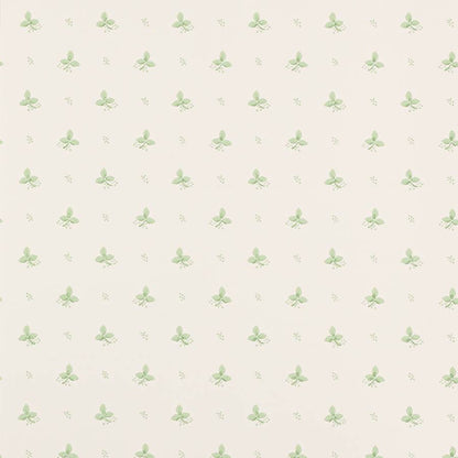 Ashling Wallpaper - Green - 07406/10