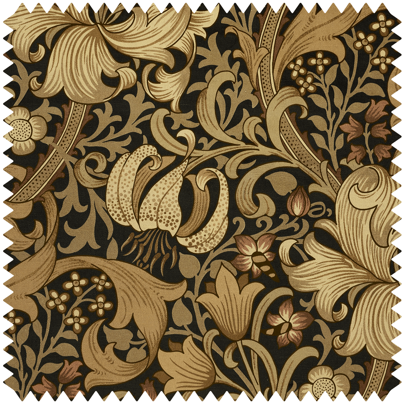 1-FA-GLM-VE-BLK-XXX-XXX - Golden Lily Magna Velvet Fabric - Black - House of Hackney