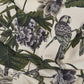 Paradisa Cotton Linen Fabric