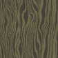 Dazzle Wallpaper