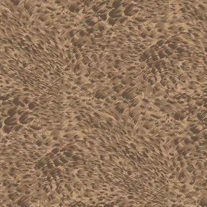Ferus Wallpaper