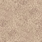 Ferus Wallpaper