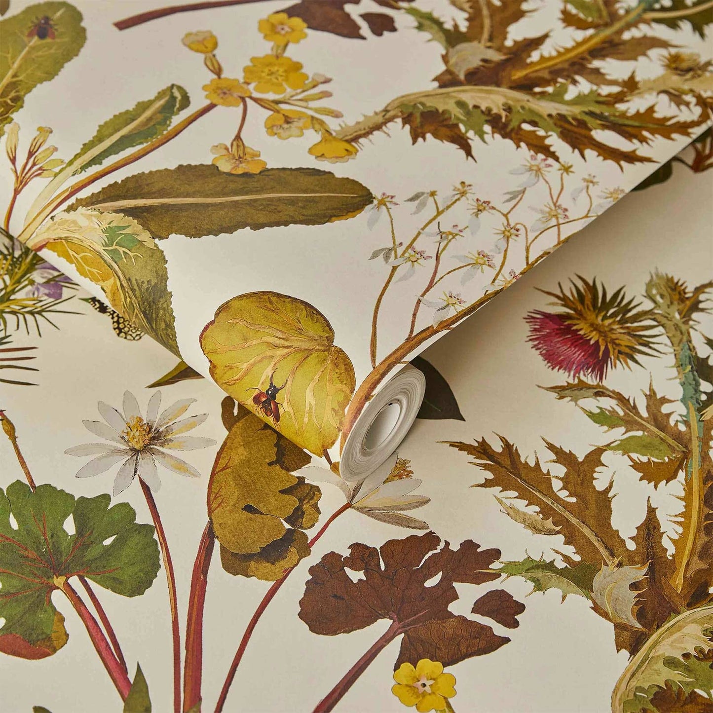 Herbarium Wallpaper