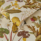 Herbarium Wallpaper - Ecru - 1-WA-HER-DI-ECR-XXX