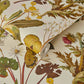 Herbarium Wallpaper