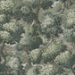 Nemor Wallpaper