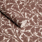 Quercus Wallpaper