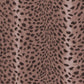 Savanna Wallpaper