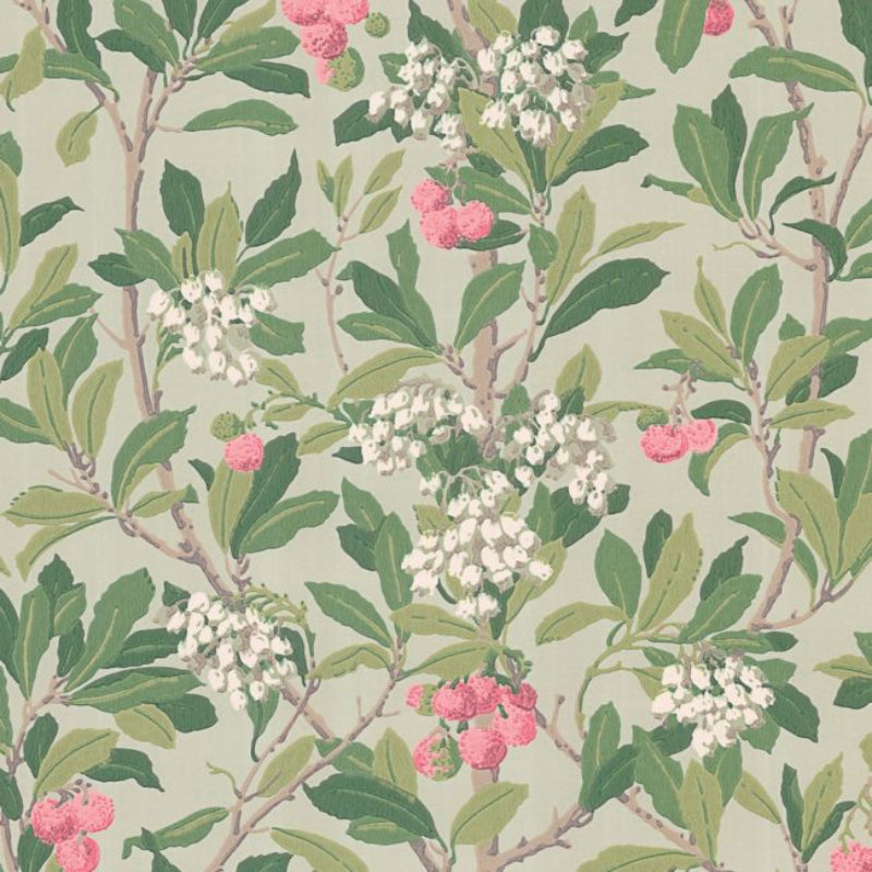 Strawberry Tree Wallpaper - Chalk, Rose & Forest Green on Eau Du Nil - 100/10048