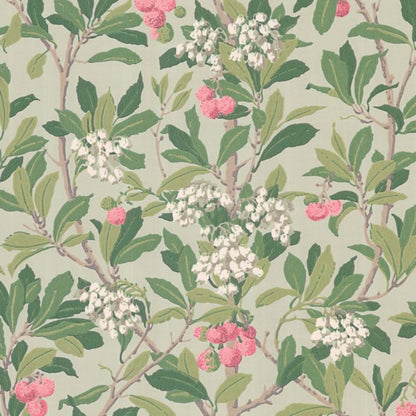 Strawberry Tree Wallpaper - Chalk, Rose & Forest Green on Eau Du Nil - 100/10048