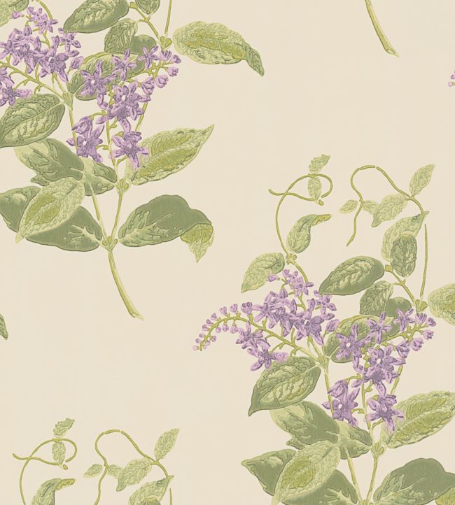 Madras Violet Wallpaper - Purple & Olive on Cream - 100/12056