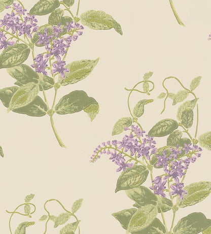 Madras Violet Wallpaper - Purple & Olive on Cream - 100/12056