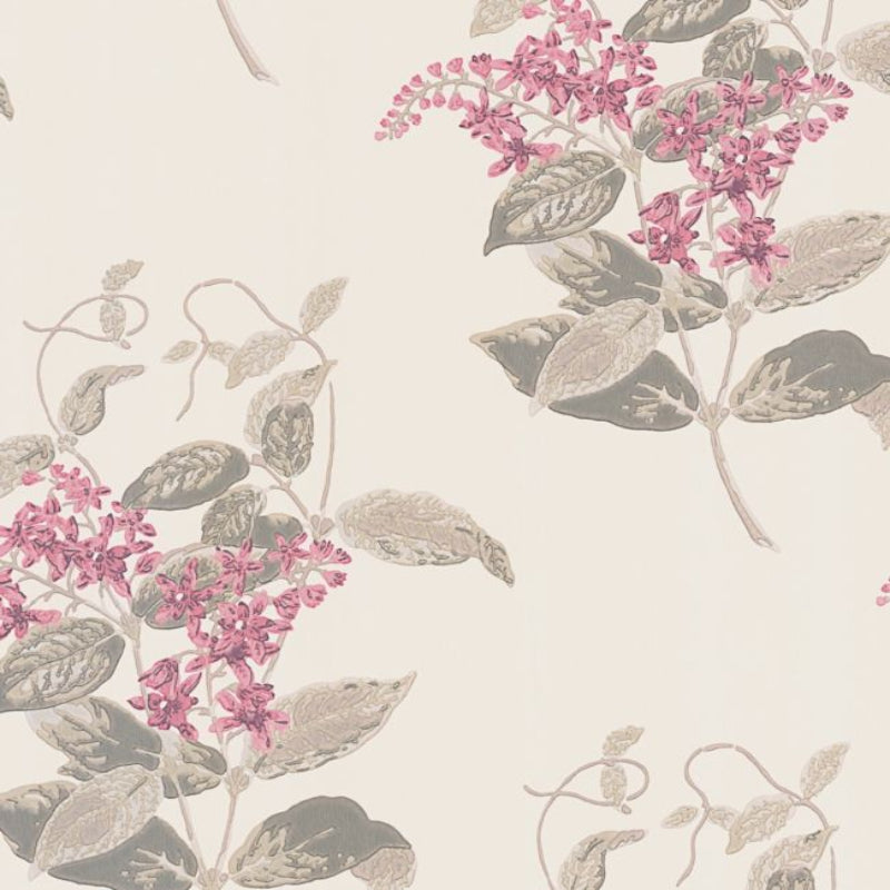 Madras Violet Wallpaper - Fuchsia & Linen on Parchment - 100/12058