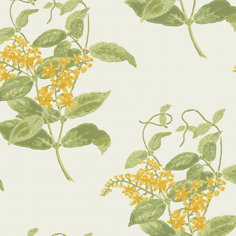 Madras Violet Wallpaper - Yellow & Linen on Parchment - 100/12059