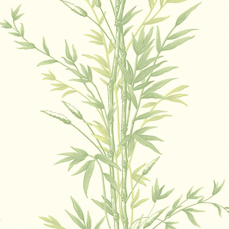 Bamboo Wallpaper - Olive Green on White - 100/5023