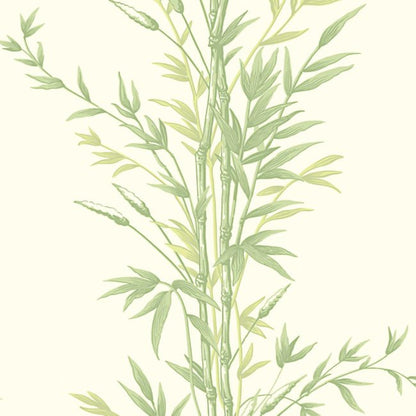Bamboo Wallpaper - Olive Green on White - 100/5023