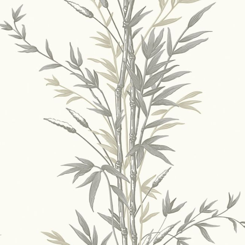 Bamboo Wallpaper - Taupe on White - 100/5025
