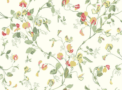 Sweet Pea Archive Anthology Wallpaper - Yellow & Coral on Cream - 100/6027