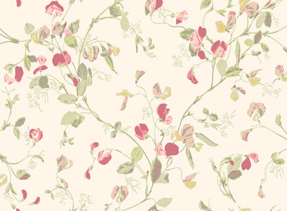 Sweet Pea Archive Anthology Wallpaper - Coral & Olive on Cream - 100/6028