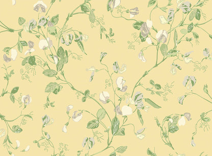 Sweet Pea Archive Anthology Wallpaper - Grey & Lime on Yellow - 100/6029