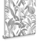 103801 - Botanical Wallpaper - Shadow - Graham & Brown
