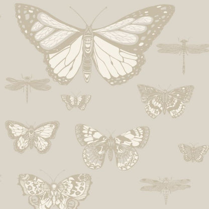 Butterflies & Dragonflies Wallpaper - Metallic Gilver & White on Stone - 103/15064