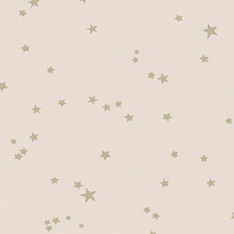 Stars Wallpaper - Metallic Gilver on Ballet Slipper - 103/3015
