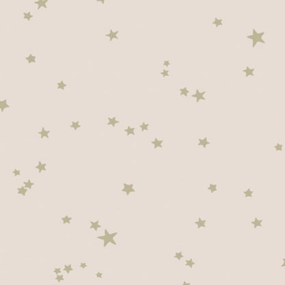 Stars Wallpaper - Metallic Gilver on Ballet Slipper - 103/3015