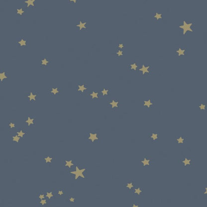Stars Wallpaper - Metallic Gilver on Midnight - 103/3017