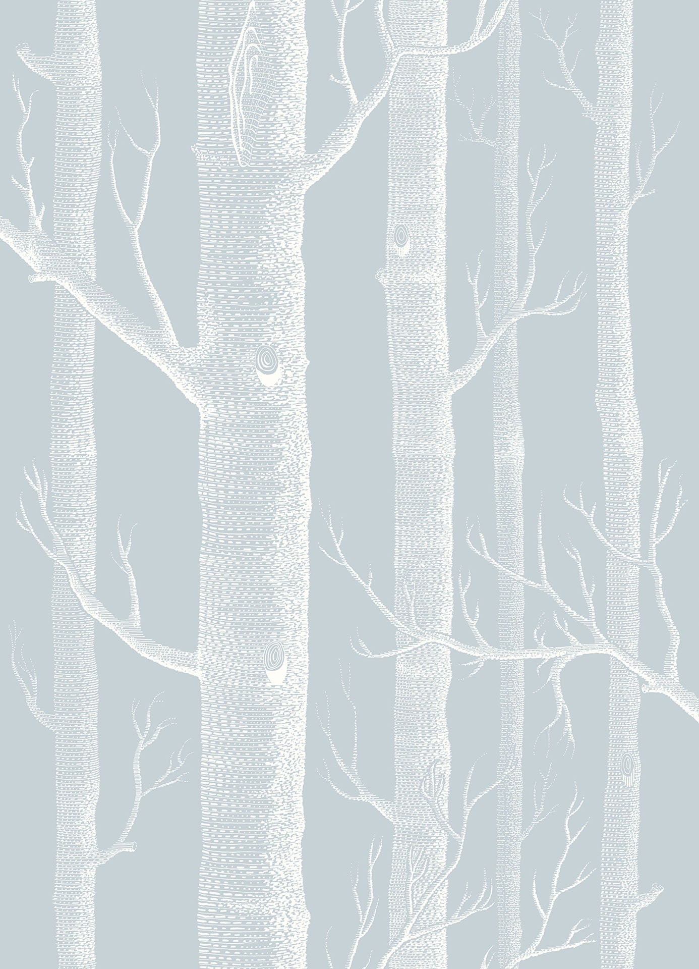 Woods Whimsical Wallpaper - Chalk on Powder Blue - 103/5022