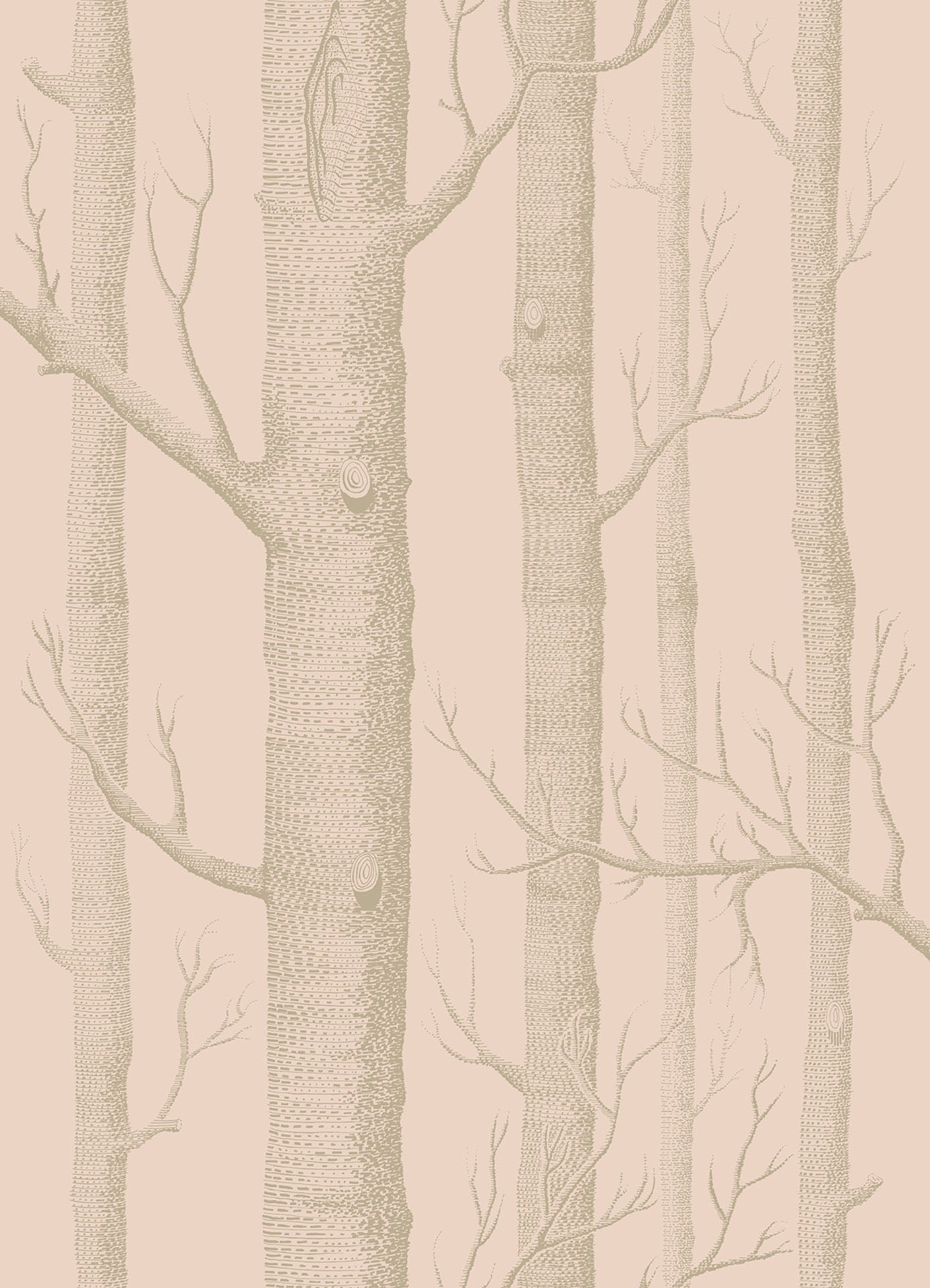 Woods Whimsical Wallpaper - Metallic Gilver on Ballet Slipper - 103/5024