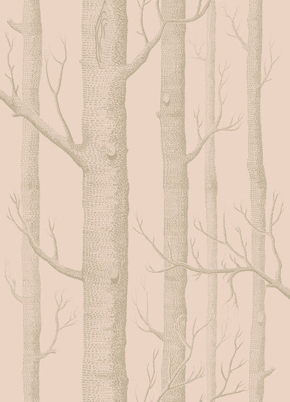 Woods Whimsical Wallpaper - Metallic Gilver on Ballet Slipper - 103/5024