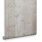 104069 - Wild Flower Wallpaper - Sand - Graham & Brown
