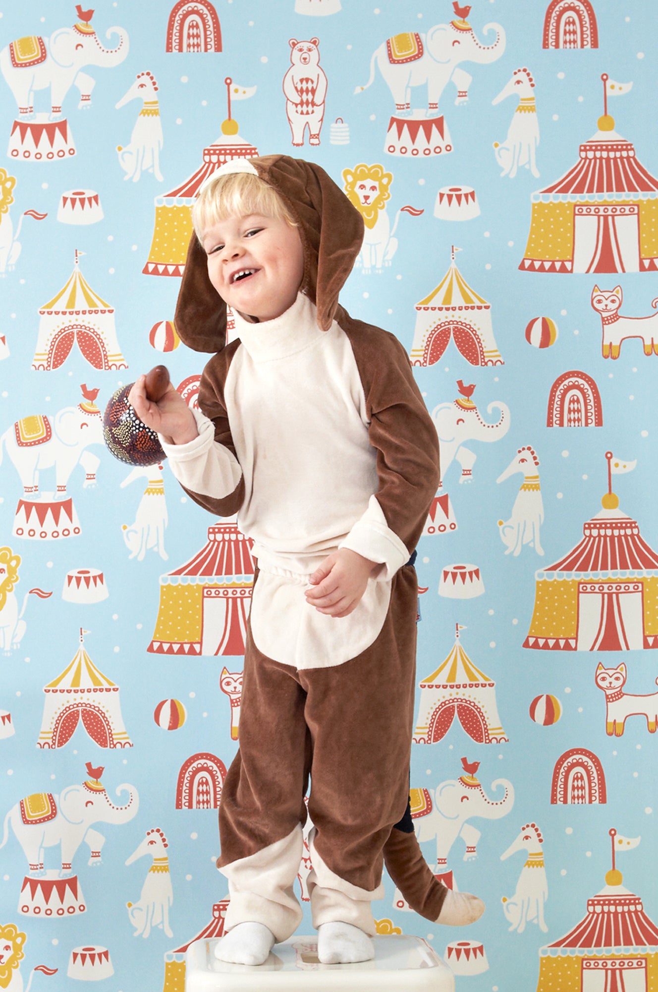 Circus Blue Wallpaper - Majvillan