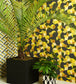 Puzzle Wallpaper - Chartreuse on Charcoal - 105/2012