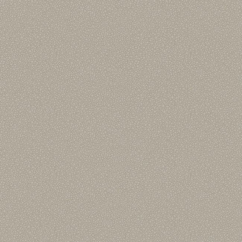 Pebble Wallpaper - Shell - 106/2016